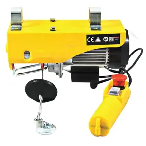 Elektrikli Vinç 400/800 Kg