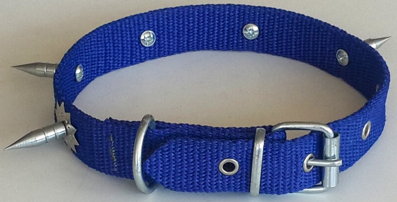Le-Sar Kolon Tek Çivili Tasma 2,50 cm 50 cm (Ls-700)