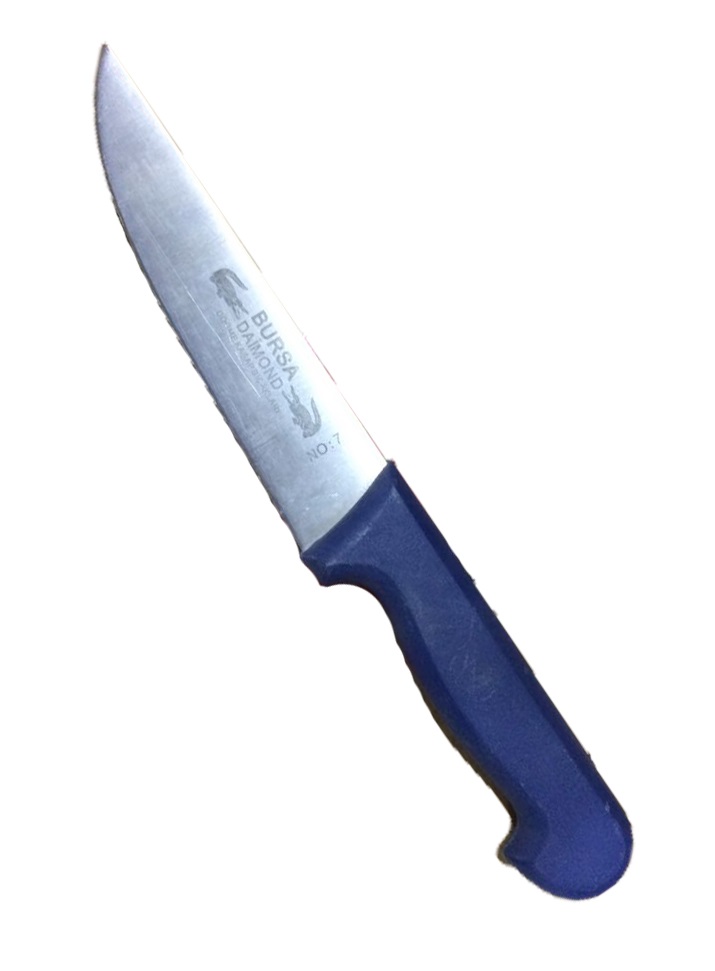 Ucuz Plastik Saplı Bıçağı