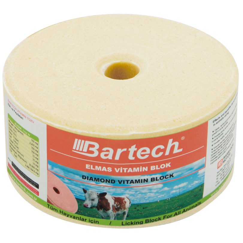 Bartech Pare Yalama Bloğu (Yalama Taşı) Elmas