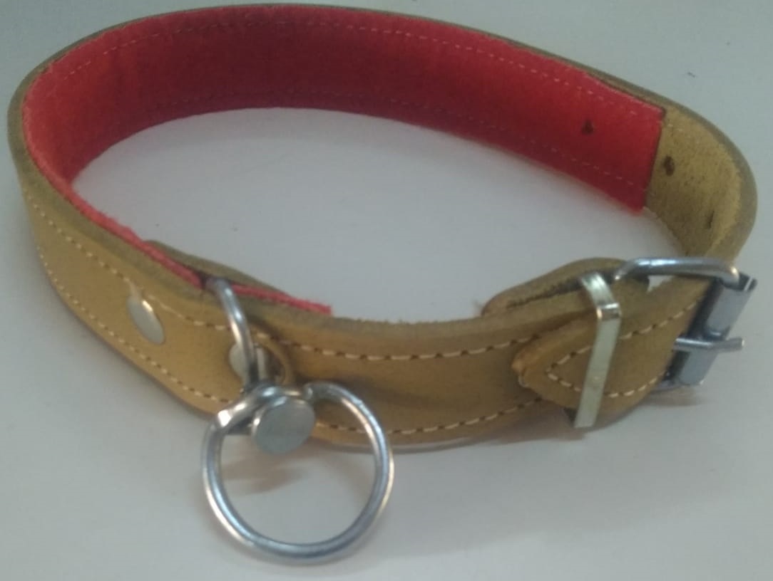 Le-Sar Kösele Deri Halıflexli Tasma 3 cm 60 cm (Ls-453)