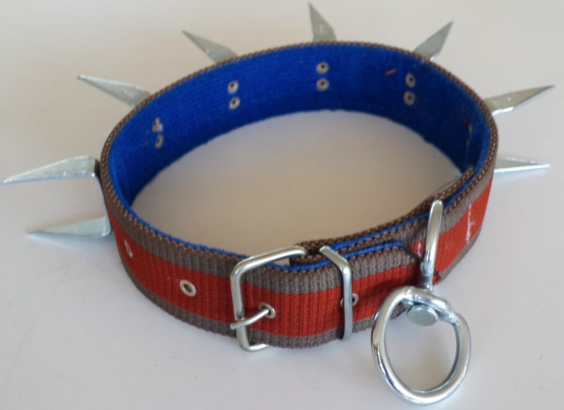 Le-Sar Kolon Battal U Çivili Tasma 5 cm 70 cm (Ls-803)