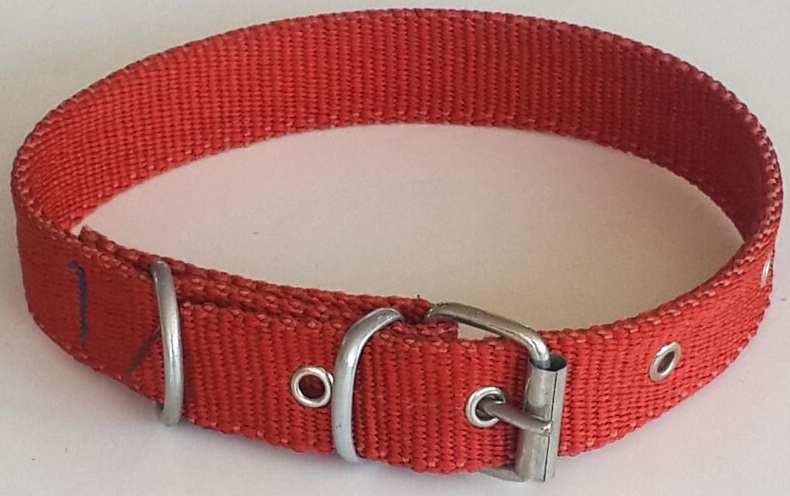 Le-Sar Kolon Fino Tasma 2,5 cm 50 cm (Ls-02)