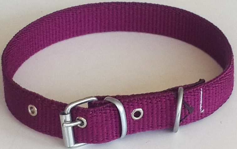 Le-Sar Kolon Kurt Tasma 2,5 cm 60 cm (Ls-03)