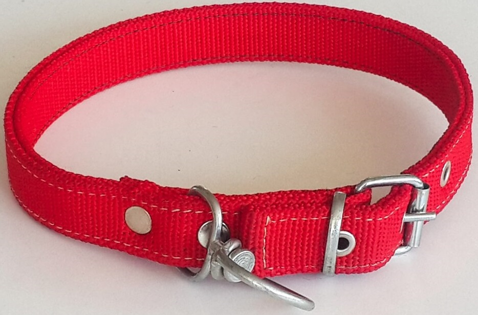 Le-Sar Kolon Çift Kat Kurt Tasma 2,5 cm 60 cm (Ls-04)