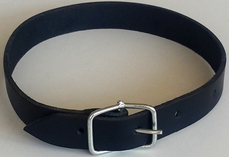 Le-Sar Deri Çan Tasma 2,5 cm 60 Cm (Ls-26)
